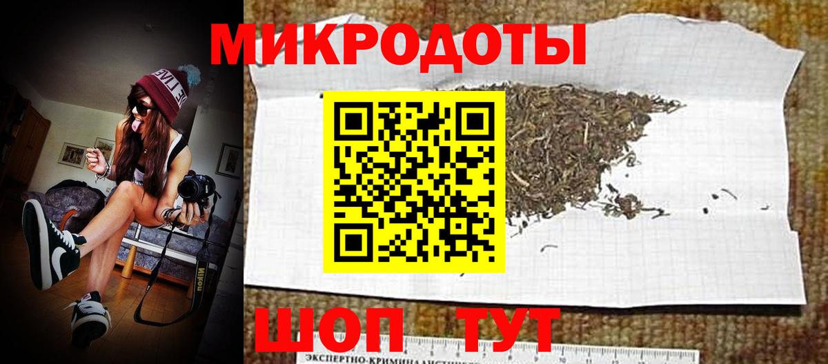 Галлюциногенные грибы Cubensis  Беслан  Псилоцибиновые грибы прущие грибы 